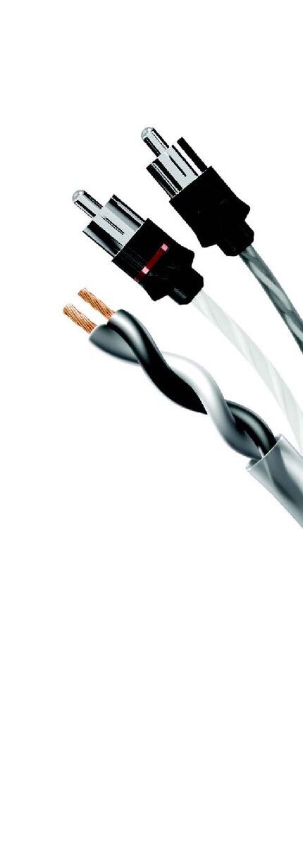 DIVINI 3FT TWISTED PAIR RCA COPPER (DCR3) - image 1