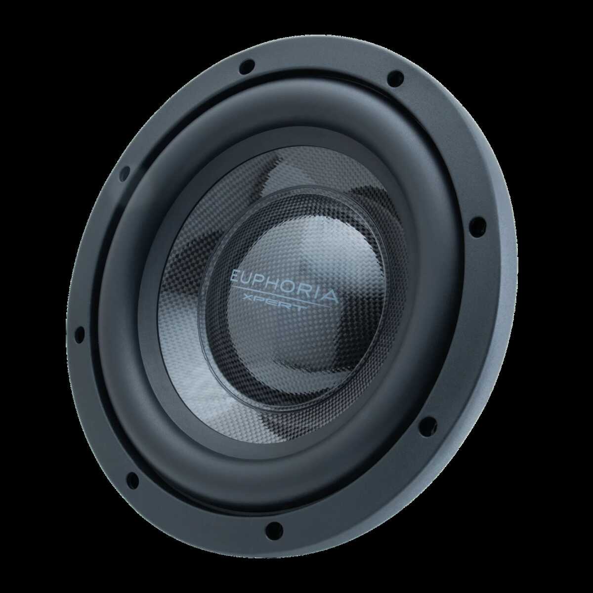 EXPERT LIMITED EDITION CARBON FIBER 10" 1600 WATT MIDBASS (EX10NMB-CFXLV2)