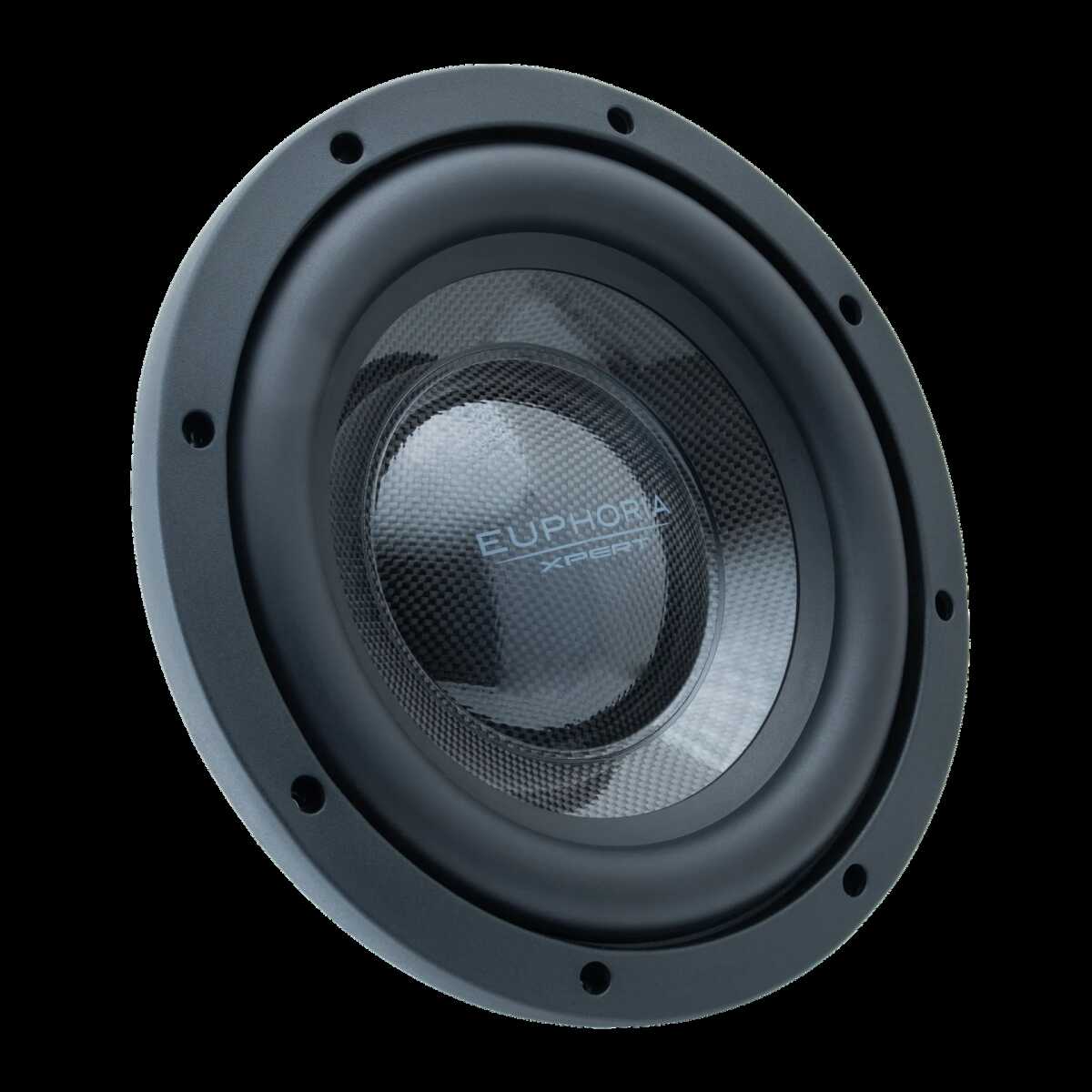 EXPERT LIMITED EDITION CARBON FIBER 10" 1600 WATT MIDBASS (EX10NMB-CFXLV2)