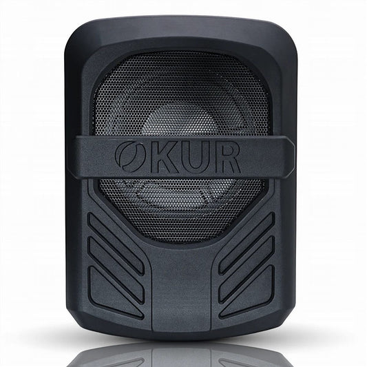 OKUR 10" 600 WATT COMPACT POWERED SUBWOOFER (OPS10) - image 1